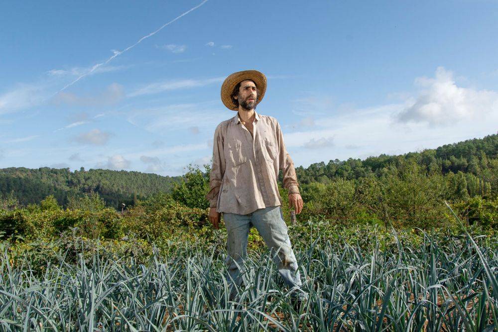 Expertise en agroécologie