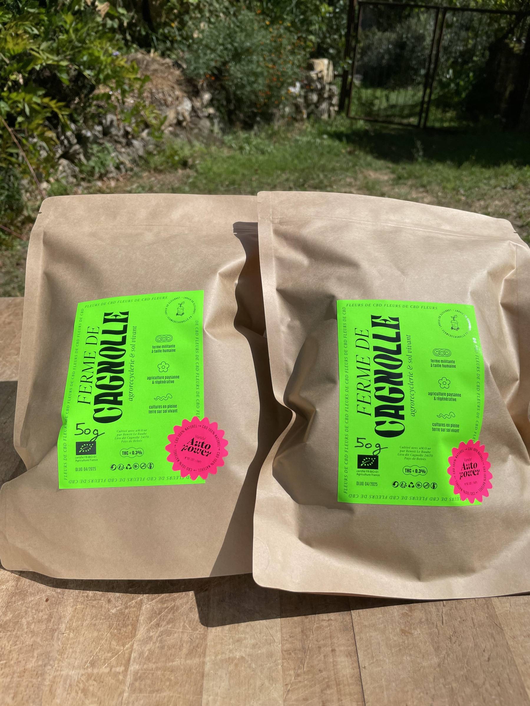 B. Fleurs de CBD Auto-Power BIO 100g