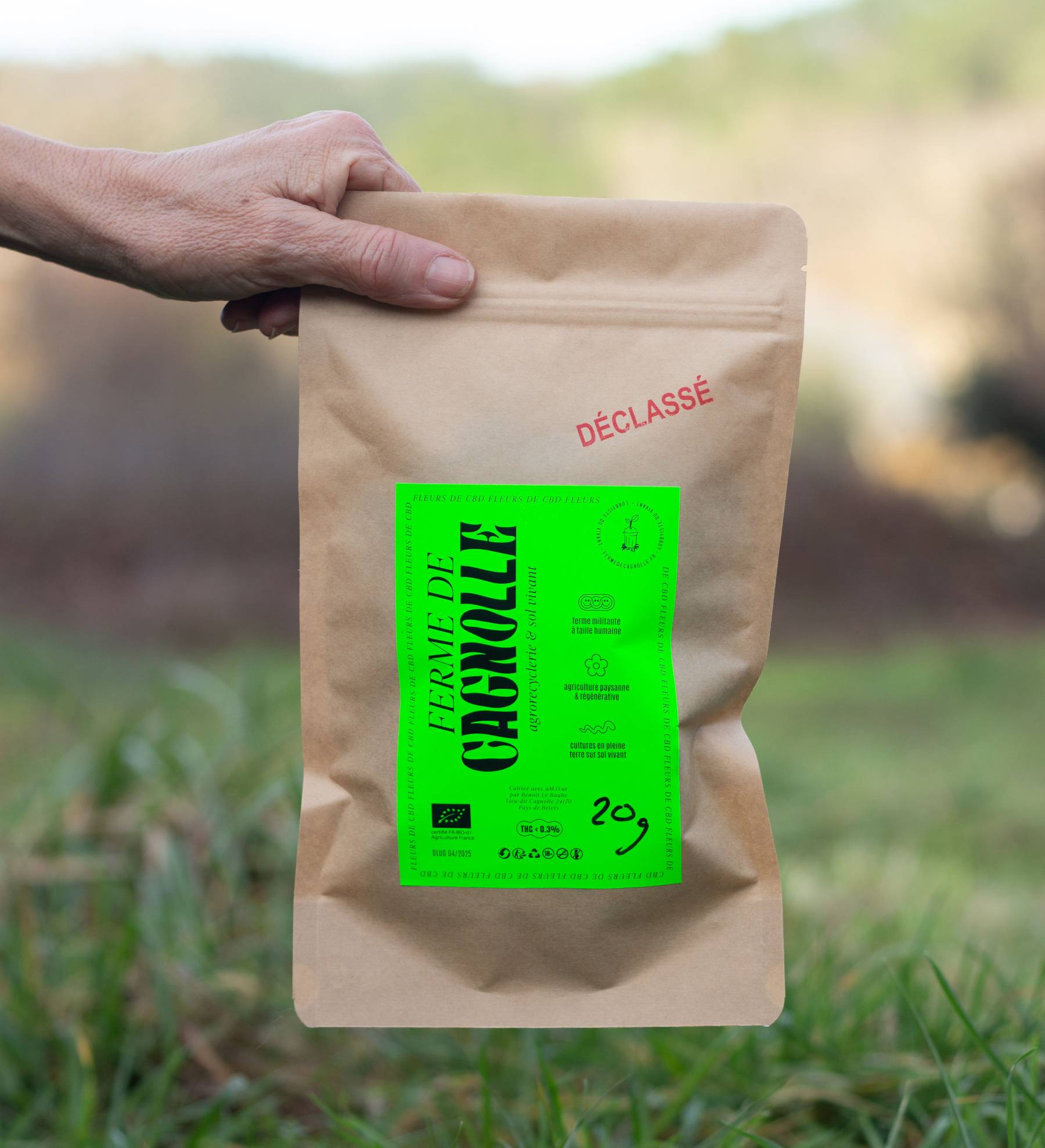 F. Fleurs de CBD - DECLASSÉES - BIO - 20 Grammes