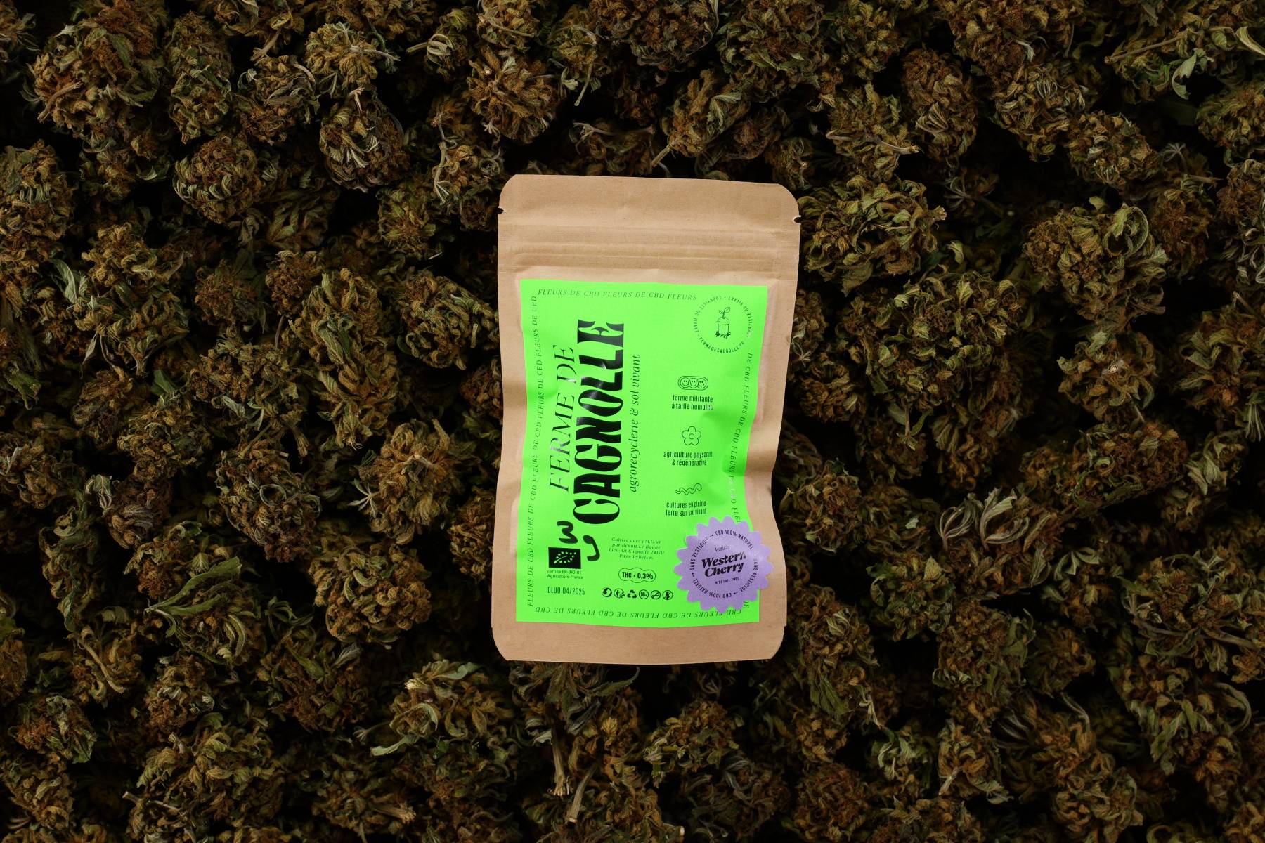 B. Fleurs de CBD BIO Western Cherry 3g