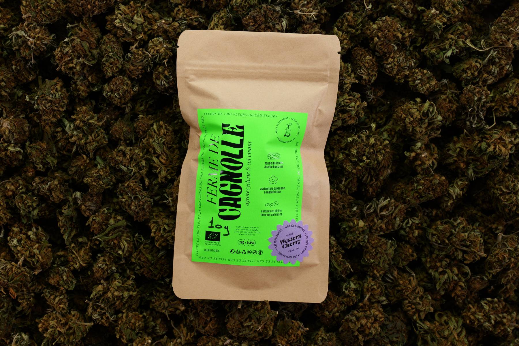 B. Fleurs de CBD BIO Western Cherry 10g
