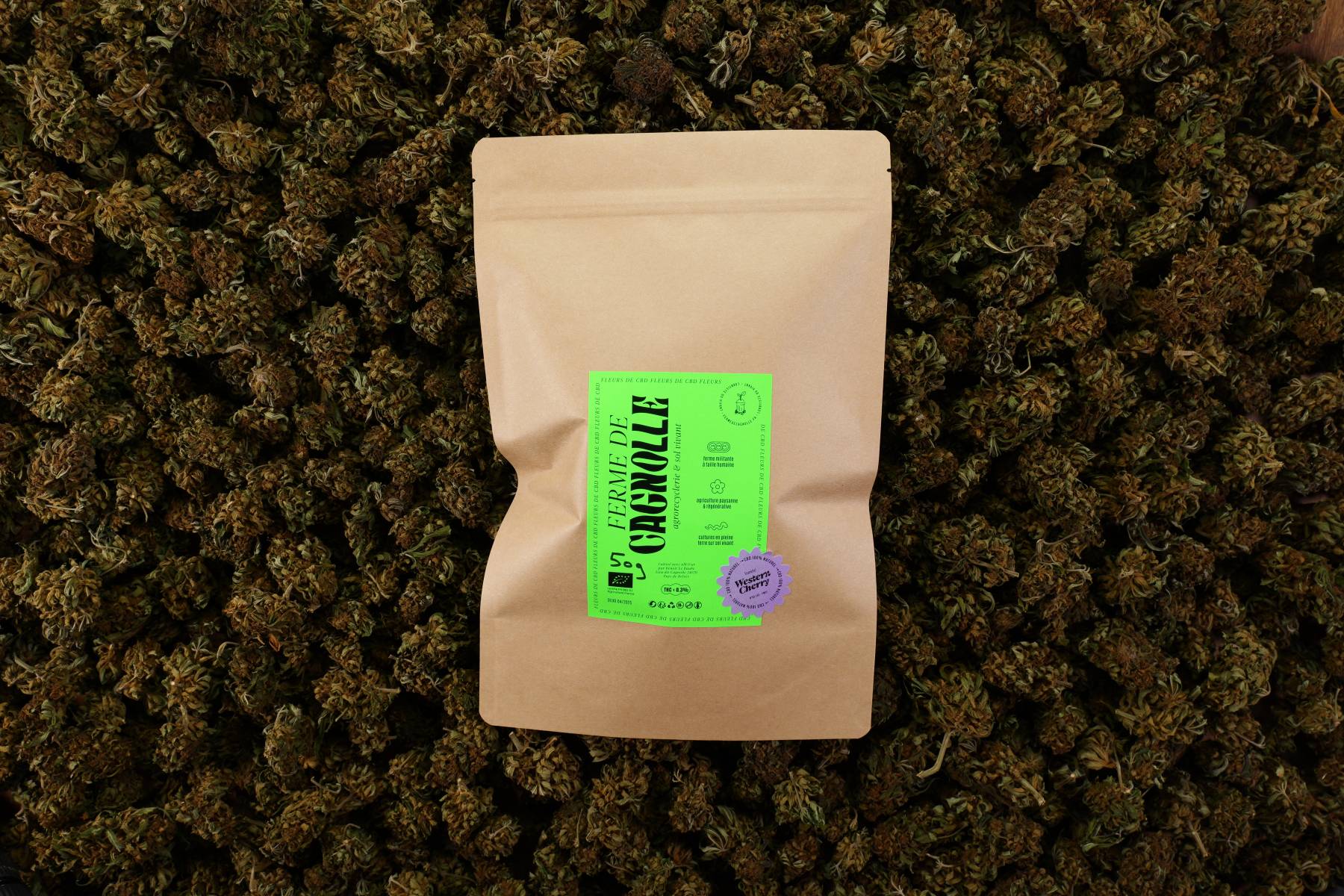 B. Fleurs de CBD BIO Western Cherry 50g