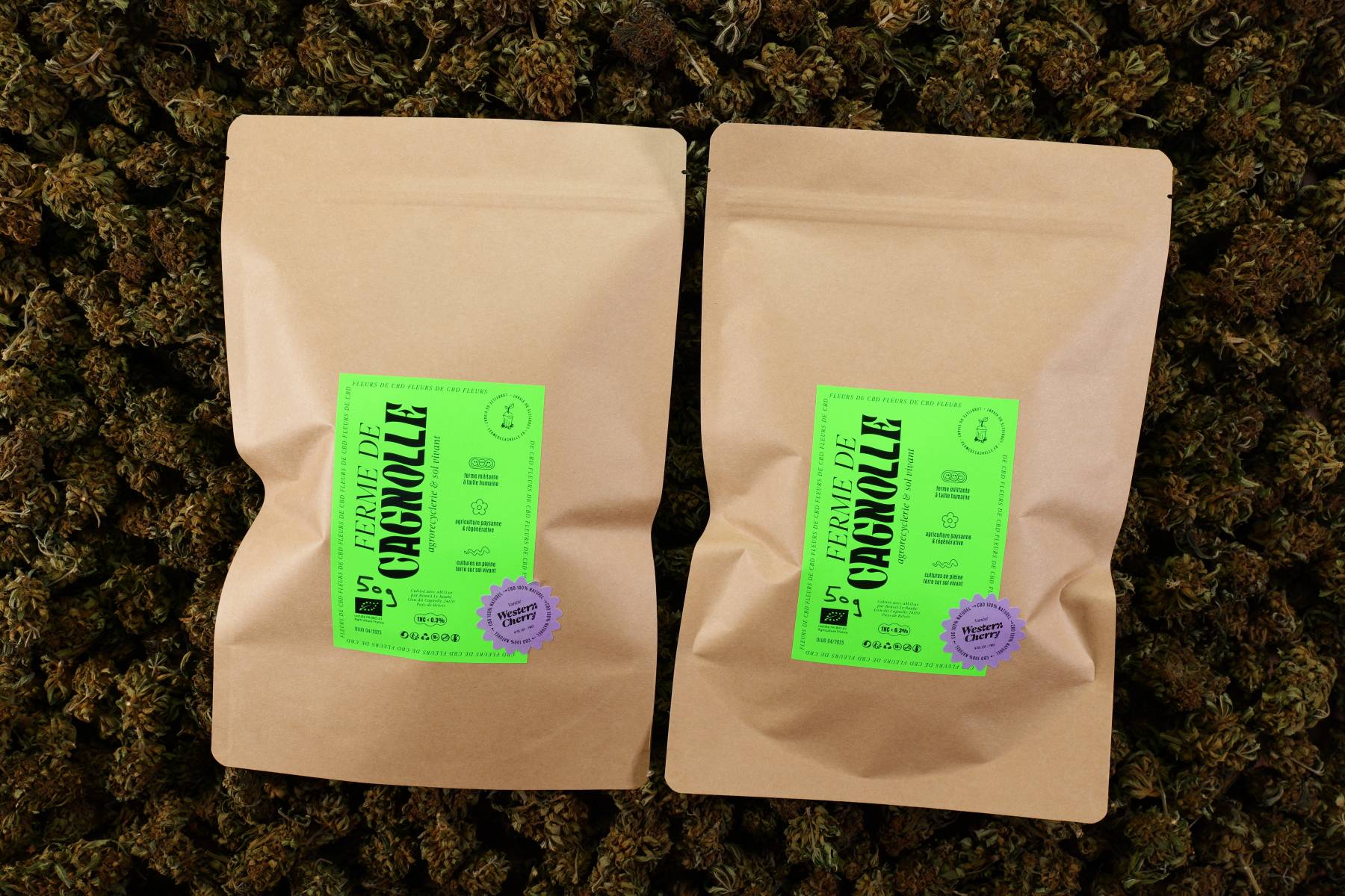 B. Fleurs de CBD BIO Western Cherry 100g