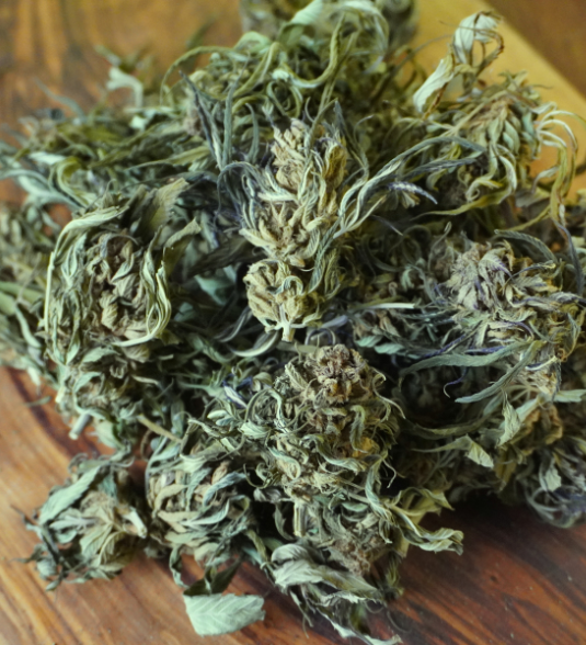 G. NON MANUCURÉES - Fleurs de North West 50g BIO