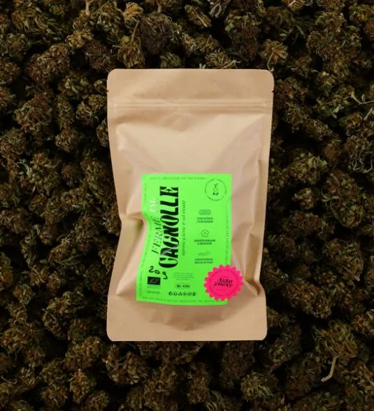 20g CBD BIO autopower.webp