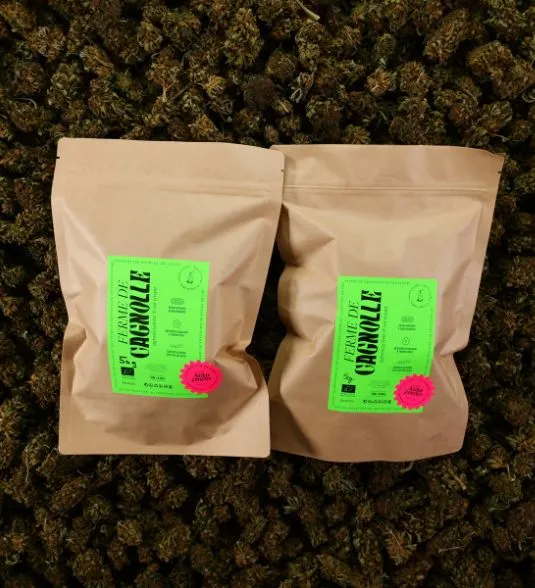 100g CBD BIO autopower.webp