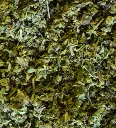 trim bio cbd.webp