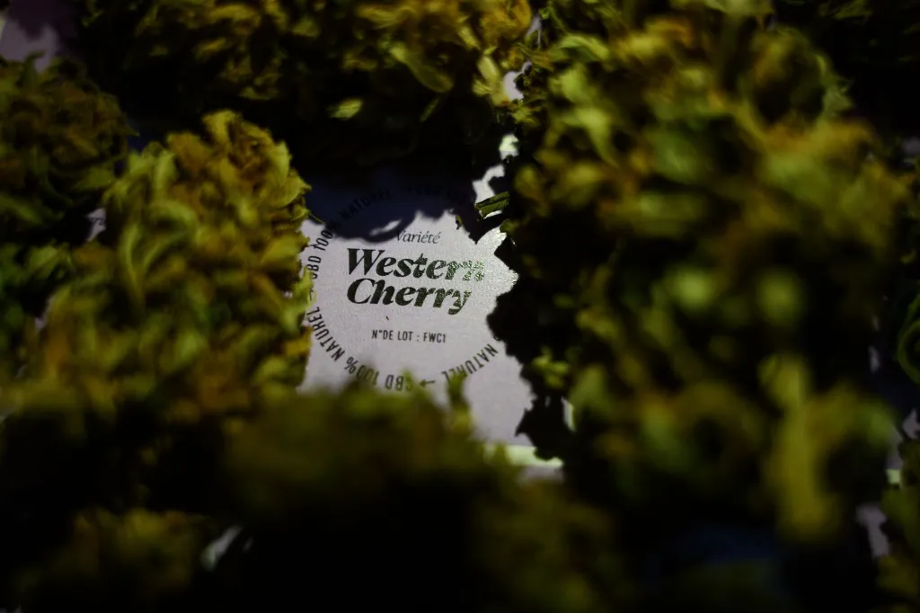 Fleurs de CBD BIO Western Cherry