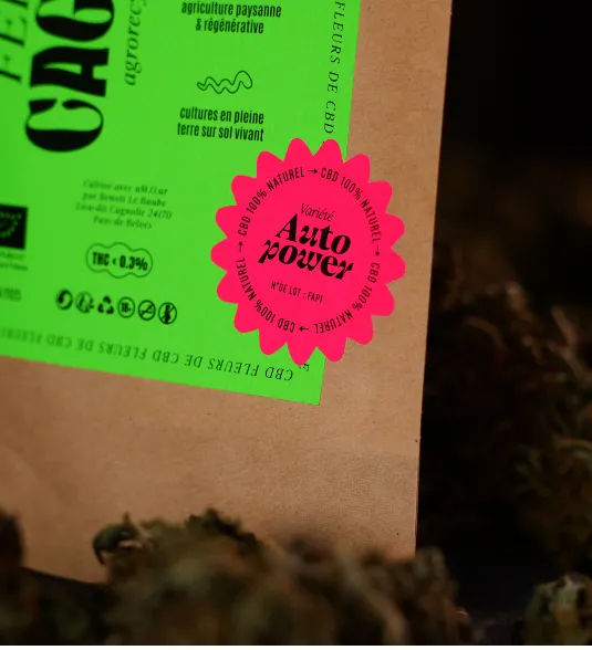 Fleurs de CBD BIO Auto-Power